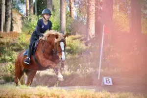 Henkilö hyppää hevosella esteen yli.