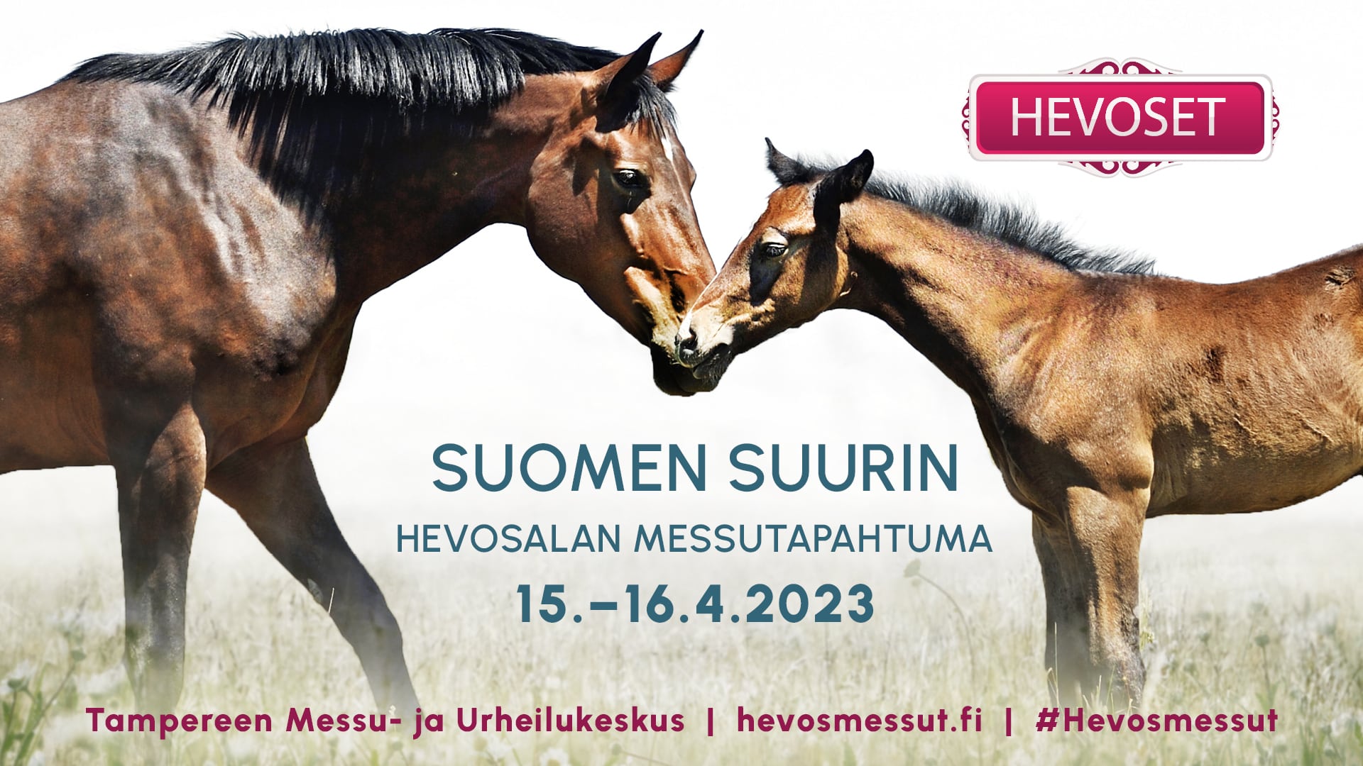 Olemme Hevoset-messuilla 15.–16.4.! - Harjun Oppimiskeskus